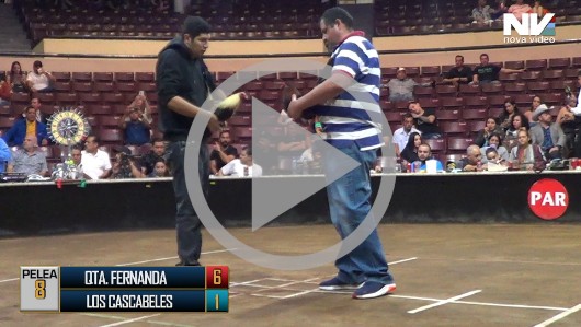 01 de mayo :QUINTA FERNANDA vs LOS CASCABELES, 7 peleas