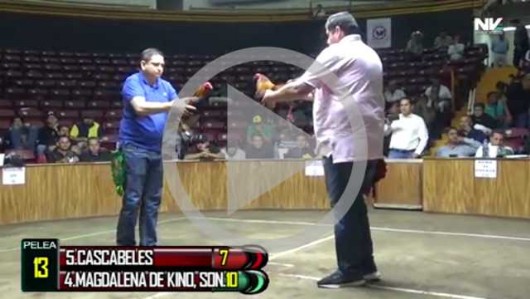 Jalos 22 07 Derby de Campeones 4/4