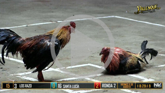 11 de agosto: Derby de 22 partidos y 5 gallos. 2/3