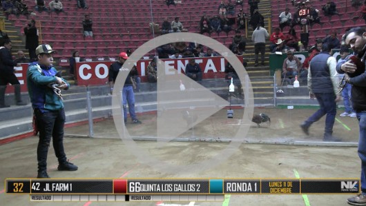 Ronda 3, lunes 11, peleas 107 a 124