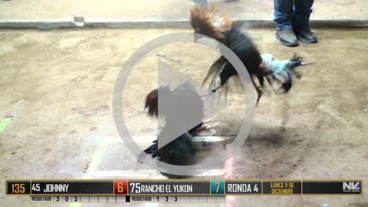 Ronda 4, Sábado 16, peleas 123 a 138
