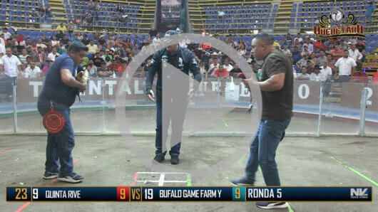 Domingo 11 de junio, Ronda 5, Peleas 1 a 14