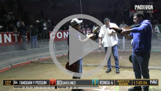 Ronda 3, Martes 12, peleas 103 a 116