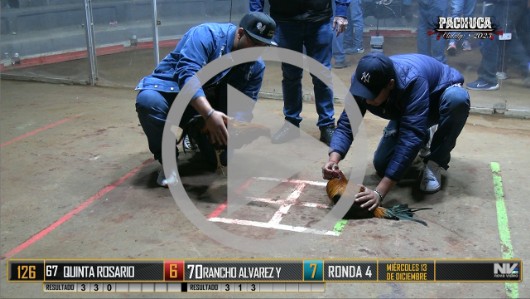 Ronda 3, Miércoles 13, peleas 87 a 103