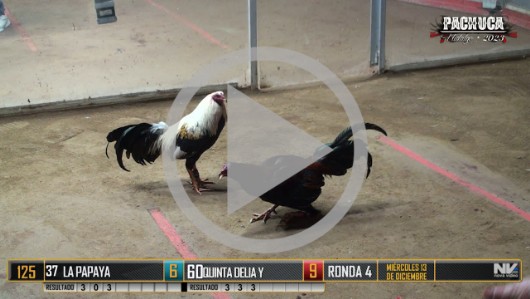 Ronda 3, Miércoles 13, peleas 94 a 114