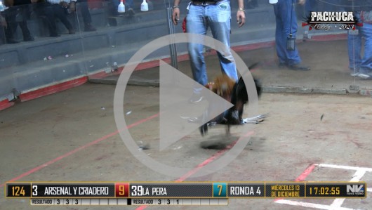 Ronda 3, Miércoles 13, peleas 116 a 132