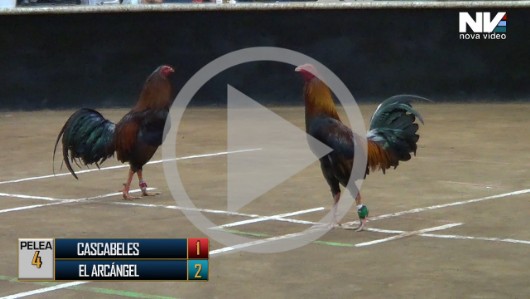 15 de abri: LOS CASCABELES vs EL ARCÁNGEL, 7 peleas