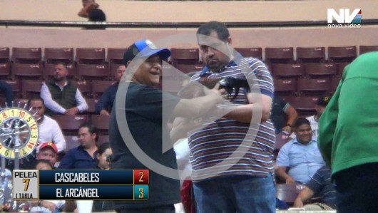 15 de abri: LOS CASCABELES vs EL ARCÁNGEL, 9 peleas