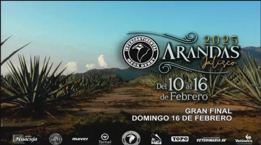 17 de agosto: Derby de 20 equipos, 5 gallos, $50,000, Parte1