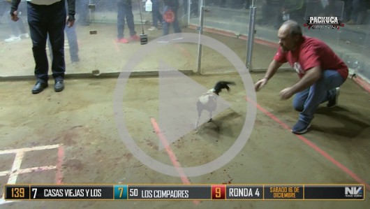 Ronda 4, Sábado 16, peleas 111 a 122