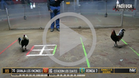 Ronda 5, domingo 17, peleas 33 a 48