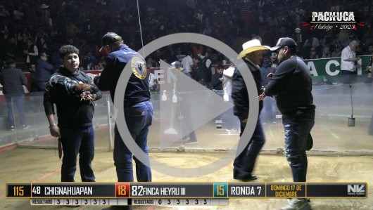Ronda 7, domingo 17, peleas 114 A121