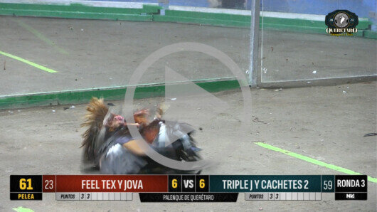 18 abril 24: Mega Derby Peleas 48 a 63