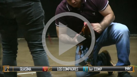 GUASIMA vs LOS COMPADRES imagen