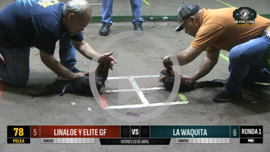 19 abril 24: Mega Derby Peleas 63 a 73