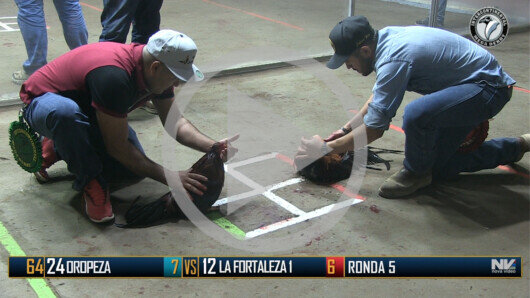 Abril 19: The Golden Rooster, Ronda 3 y 4, peleas 53 a 62