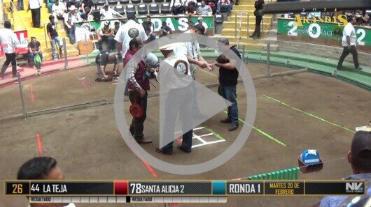 Mega Arandas, 20 feb, R3, P93-105 Cap. 6