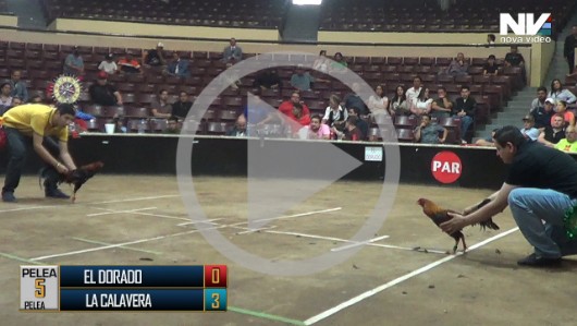 21 de abri, EL DORADO vs LA CALAVERA, 9 peleas