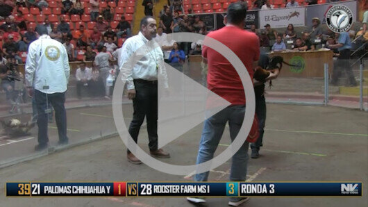 Abril 22: The Golden Rooster, Ronda 3, peleas 45 a 53