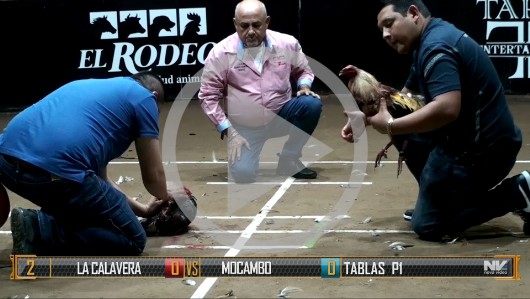 LA CALAVERA vs MOCAMBO imagen