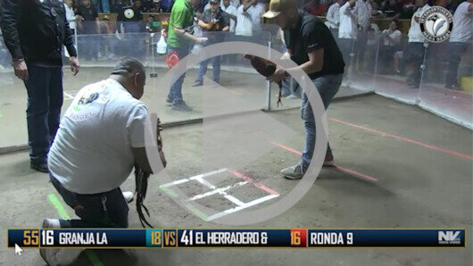 Abril 23: The Golden Rooster, Ronda 8, peleas 42 a 50