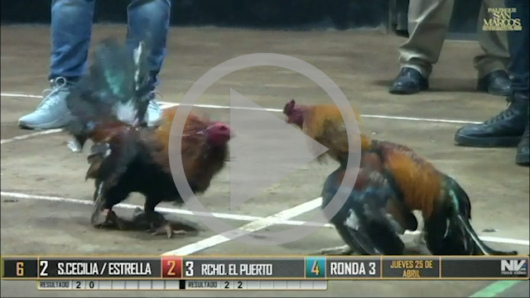 25 de abril: DERBY DE 4  PARTIDOS / PARTE 2