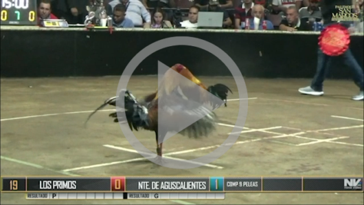25 de abril: LOS PRIMOS vs NORTE DE AGUASCALIENTES