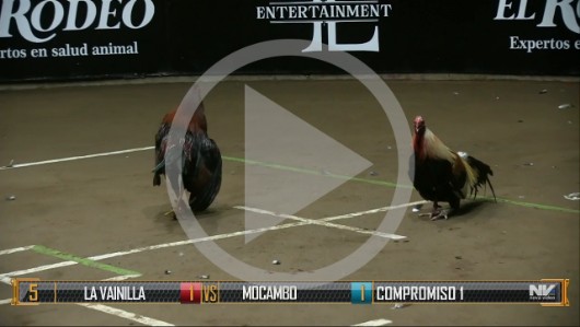 LA VAINILLA vs MOCAMBO imagen