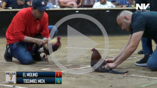 27 de abri: EL MOLONO vs TOCUMO, MICH., 9 peleas