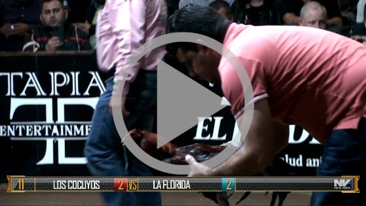 LA FLORIDA vs LOS COCUYOS imagen