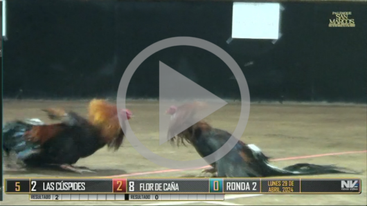 29 de abril: DERBY Paret 1 de 3