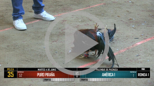 4 de junio 24: Mega Derby Peleas 101 a 116