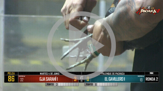 4 de junio 24: Mega Derby Peleas 117 a 127