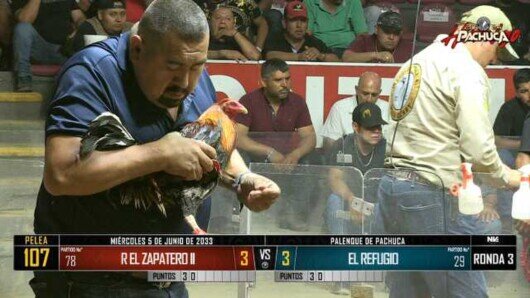 5 de junio 24: Mega Derby Peleas 133 a 135