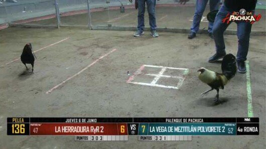 6 de junio 24: Mega Derby Peleas 90 a 103