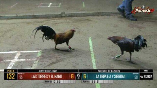 6 de junio 24: Mega Derby Peleas 104 a 114