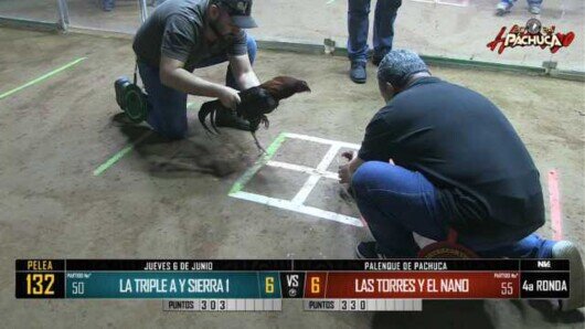 6 de junio 24: Mega Derby Peleas 115 a 125