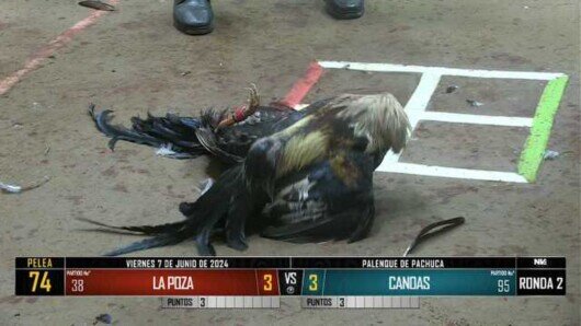 7 de junio 24: Mega Derby Peleas 107 a 121
