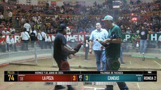 7 de junio 24: Mega Derby Peleas 122 a 131