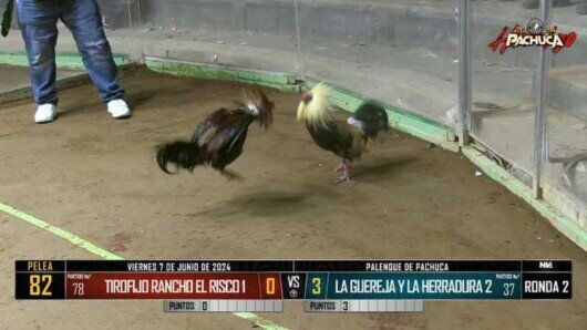 7 de junio 24: Mega Derby Peleas 131 a 141