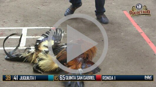 Jueves 8 de junio, Ronda 4, Peleas 108 a 116