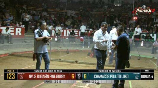 8 de junio 24: Mega Derby Peleas 108 a 115