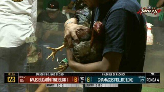 8 de junio 24: Mega Derby Peleas 94 a 107