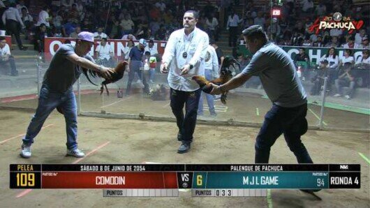 9 de junio 24: Mega Derby Peleas 48 a 61
