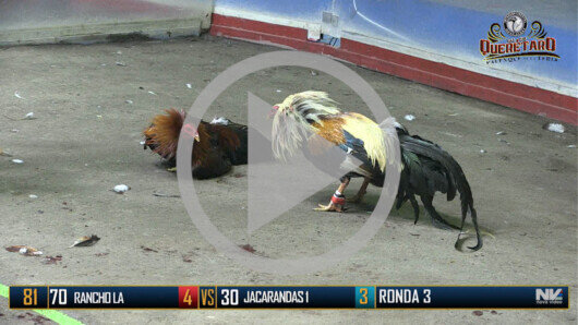 Viernes 9 de junio, Ronda 3, Peleas 87 a 96