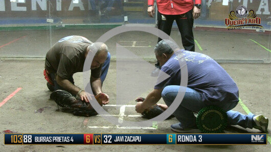 Viernes 9 de junio, Ronda 4, Peleas 106 a 114