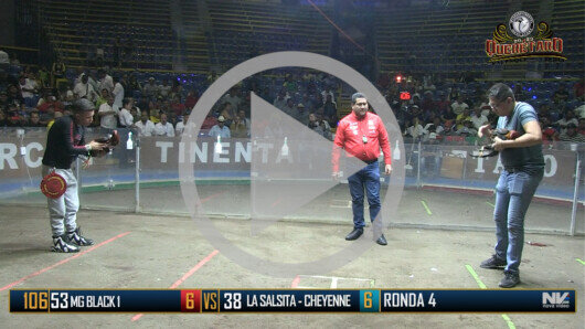 Viernes 9 de junio, Ronda 4, Peleas 115 a 122