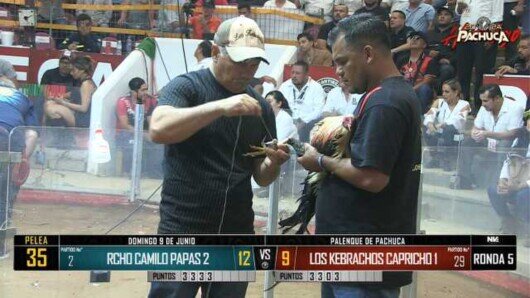 9 de junio 24: Mega Derby Peleas 62 a 73