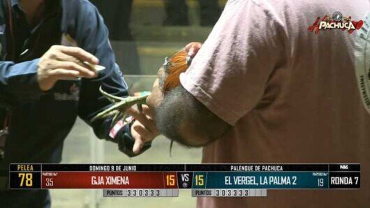 9 de junio 24: Mega Derby Peleas 23 a 34