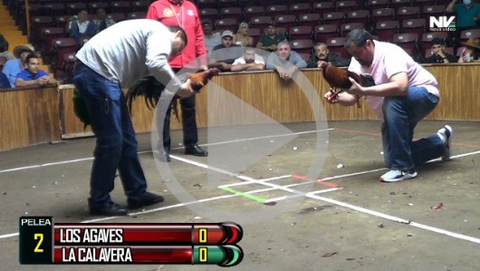 Jalos22 Los Agaves vs La Calavera